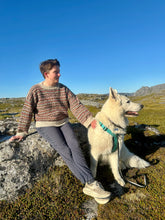 Load image into Gallery viewer, Nanna Sweater - Norwegian Knitting Pattern