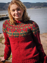 Load image into Gallery viewer, Ullobáidi Álki - Wool Sweater Simple
